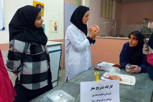 برگزاری کلاس آناتومی و تشریح مغز در پژوهش‌سرای بوعلی سینا ملارد