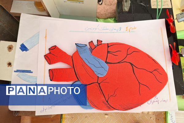 نمایشگاه دست سازه‌های علوم و آزمایشگاه در دبیرستان پویش 