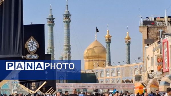 روایت اشک و ارادت عاشقان در سوگ وفات حضرت معصومه(س)