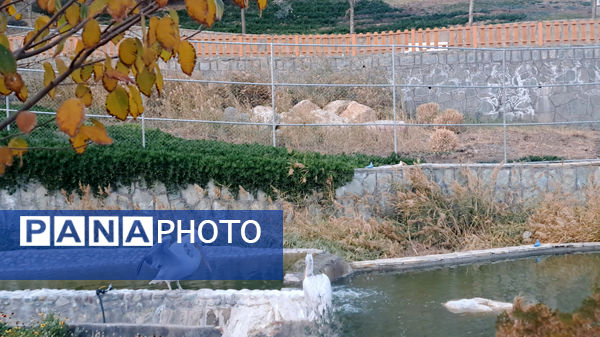 باغ پرندگان قم: جاذبه‌ای بی‌نظیر در قلب کشور