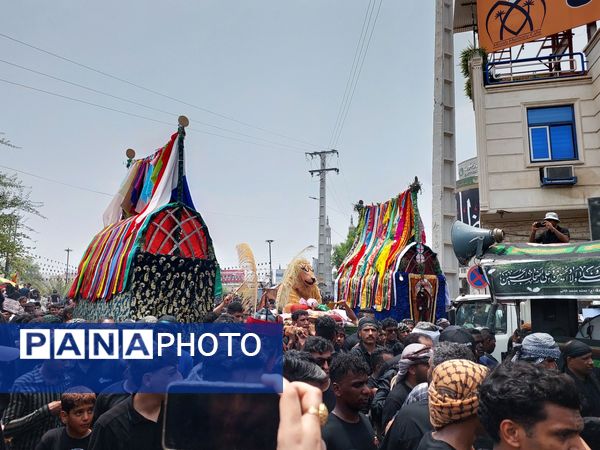 برگزاری آئین «شیر و کتل» در میناب 