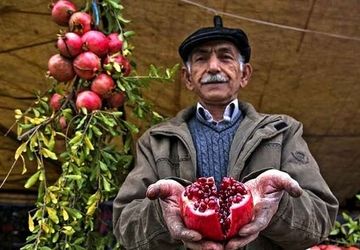 دومین جشنواره انار و خرمالو برگزار شد