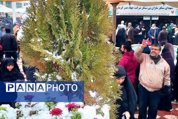 روز برفی گلزار شهدای کرمان 