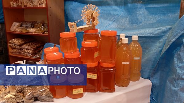 نمایشگاه «اقتصاد مقاومتی» شهرستان بن 