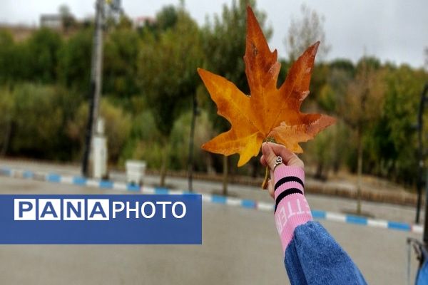 فصل زیبای پاییز در شهر بار نیشابور 