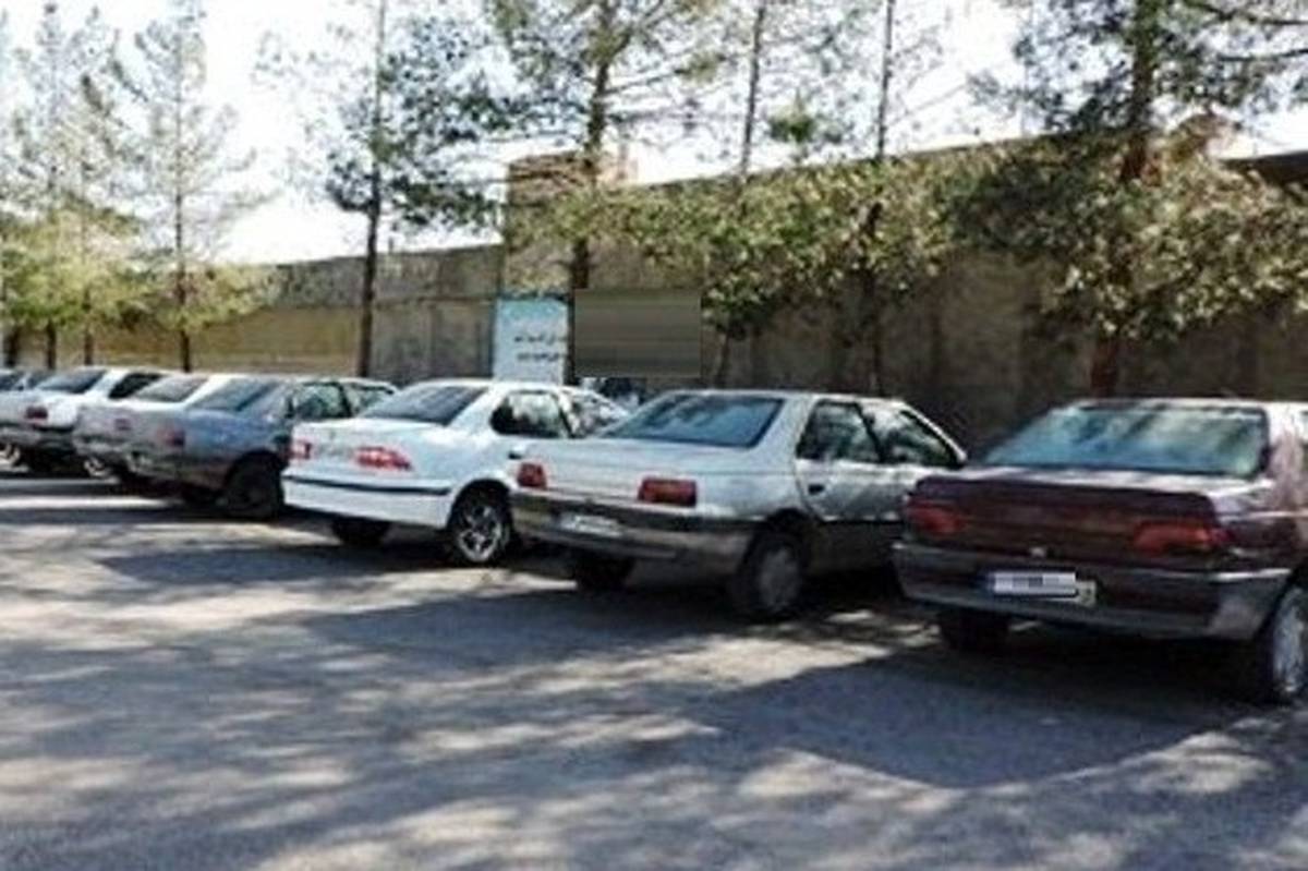 توقیف 16 دستگاه خودروی شوتی در خراسان جنوبی