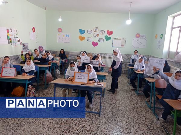 آغاز توزیع شیر در مدرسه شهید خاقانی شهرستان شیروان