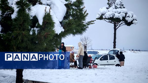 وقتی زمین زیر لحاف سفید برف به خواب میرود