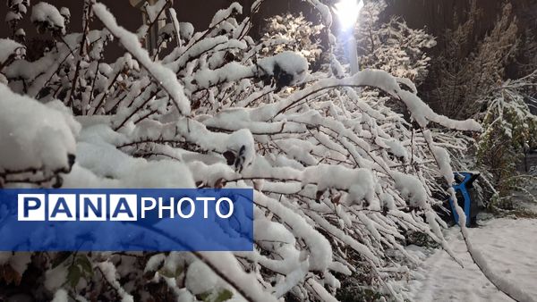 پارک‌های شهر مشهد در آغوش برف
