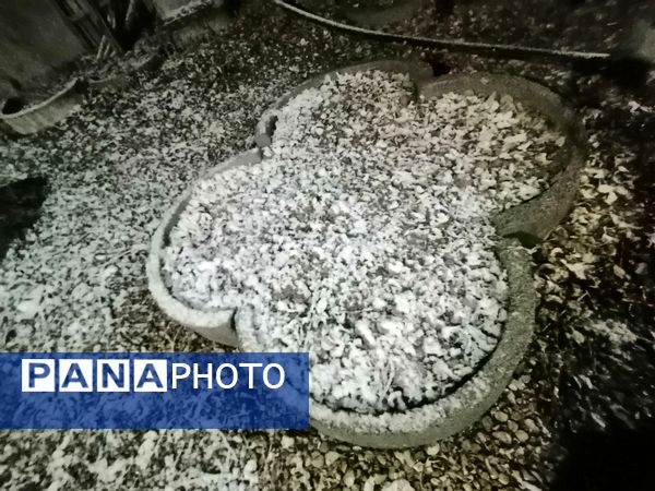 بارش برف پاییزی در شهرزیبای بار نیشابور 