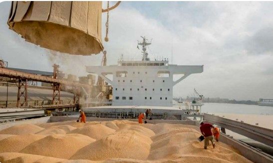 حمل بیش از یک میلیون و 82 هزار تن نهاده دامی وارداتی به سراسر کشور