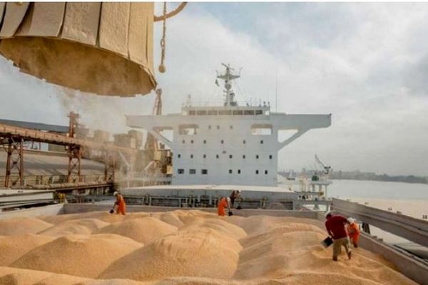 حمل بیش از یک میلیون و 82 هزار تن نهاده دامی وارداتی به سراسر کشور