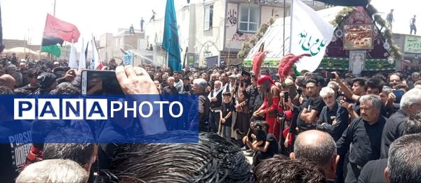 اجرای آیین کهن نخل‌گردانی و بیل‌زنی در روستای فدافن