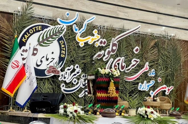 از دل نخلستان‌های عنبرآباد تا بازارهای جهانی