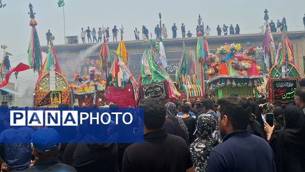 برگزاری آئین «شیر و کتل» در میناب 