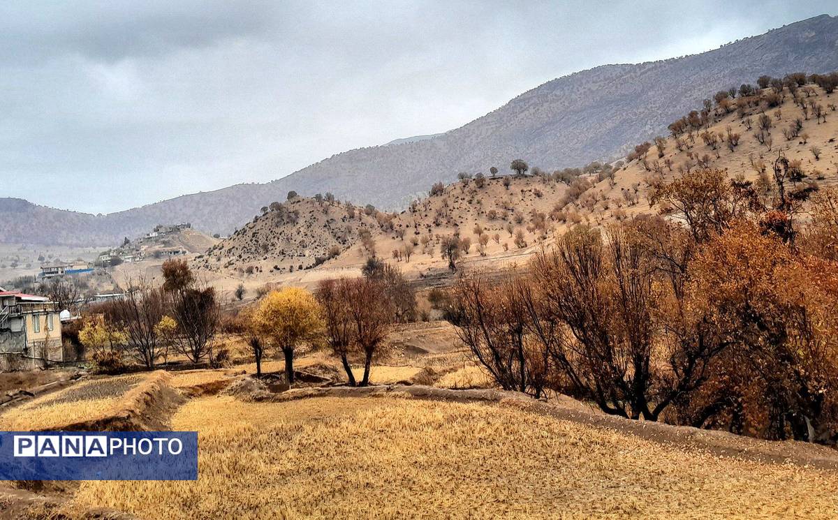 بازگشت باران به میانکوه پس از ماه‌ها خشکسالی