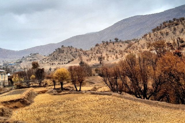 بازگشت باران به میانکوه پس از ماه‌ها خشکسالی