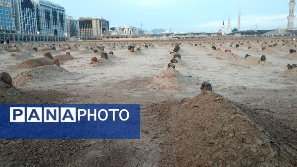 عطر آرامش در آستان پیامبر رحمت