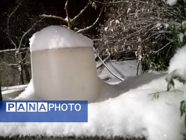 گذری بر بارش برف زمستانی در شهر بار