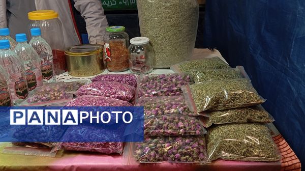 نمایشگاه «اقتصاد مقاومتی» شهرستان بن 