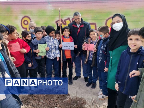 کاشت نهال در دبستان پسرانه مبین شیروان