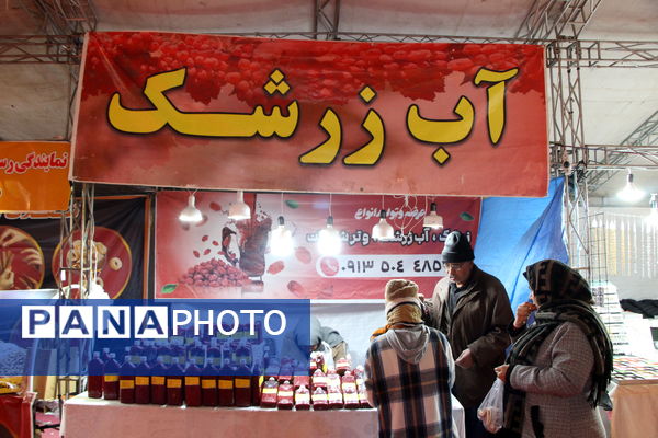 نمایشگاه شب یلدا در باغ دولت‌آباد یزد