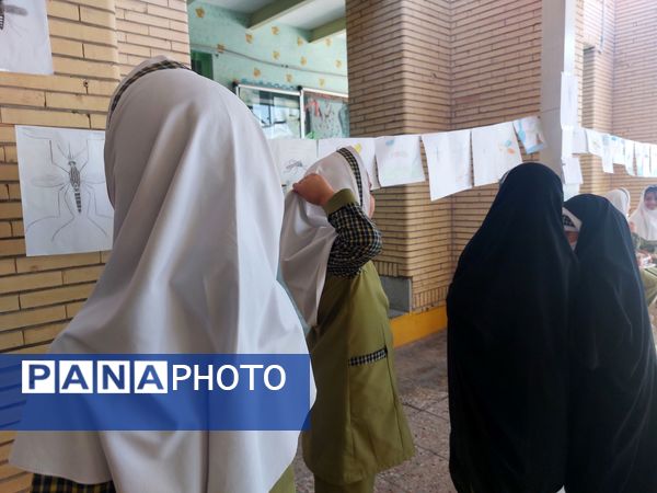 پشه آئدس سوژه نقاشی دانش‌آموزان شد
