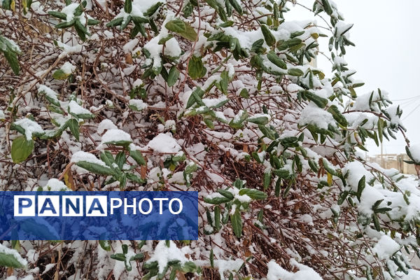 یک روز برفی در روستای بنادکوک‌ دیزه