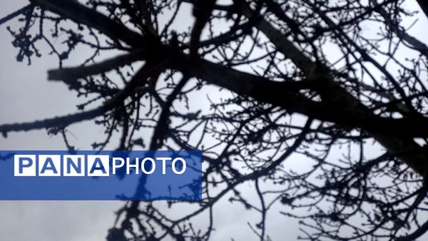 بارش  باران پاییزی در نیشابور