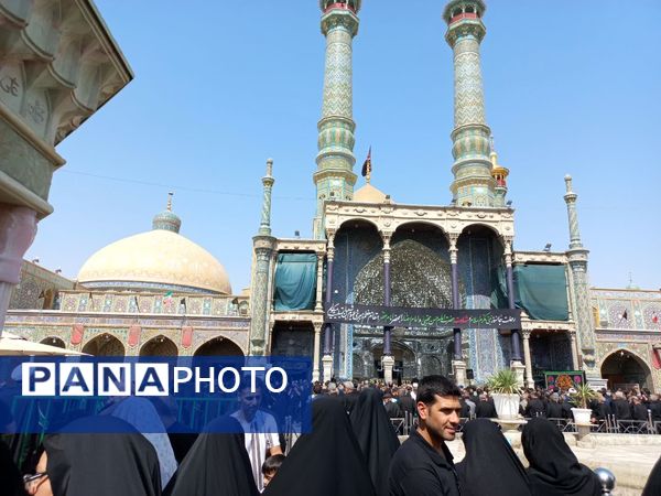 دسته عزاداری بانوان قم در سالروز شهادت امام رضا(ع)