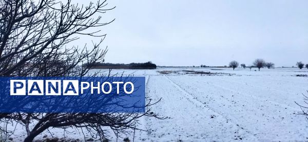 سپیدی رحمت بر جرقویه علیا