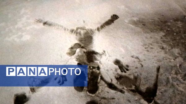 ورود باشکوه زمستان به نیشابور 