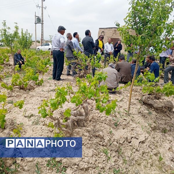 کلاس آموزشی تغذیه باغات انگور در شهر تیتکانلو