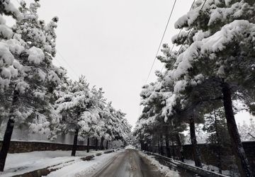 دومین بارش زیبای برف در شهرستان نیشابور 