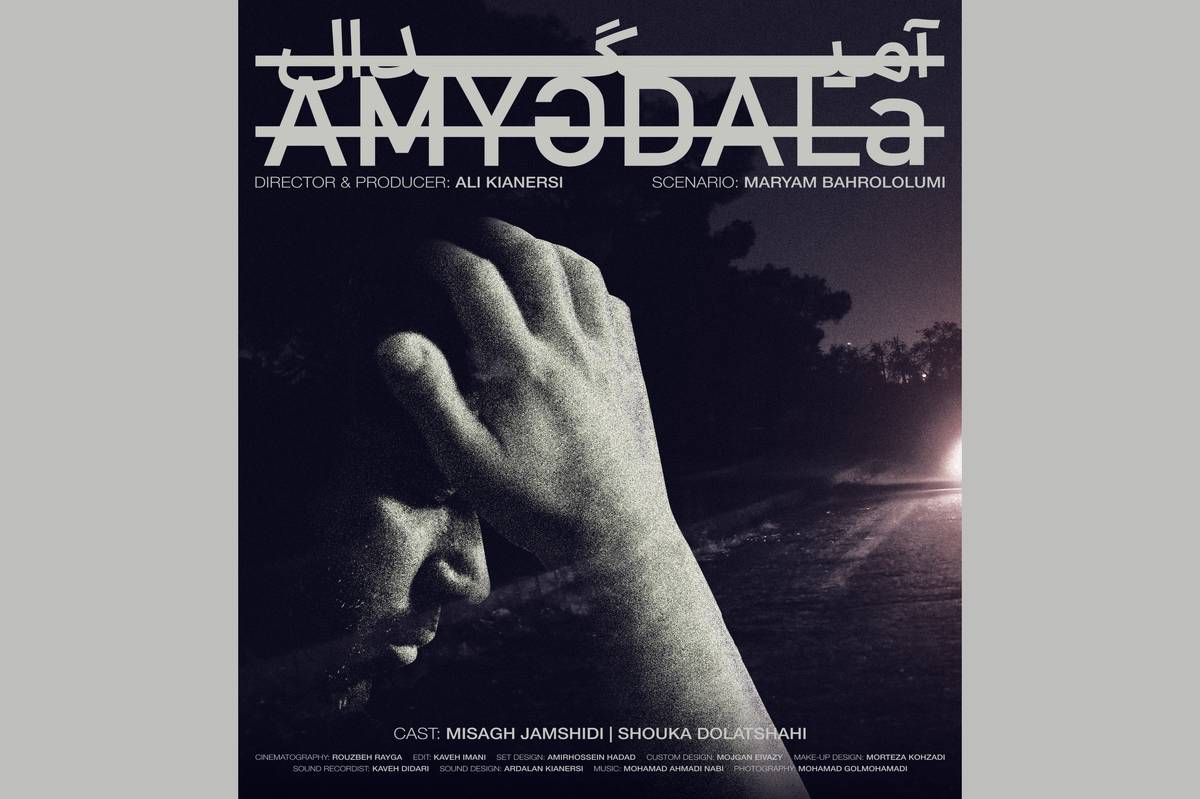 فیلم کوتاه «آمیگدال» آماده نمایش شد