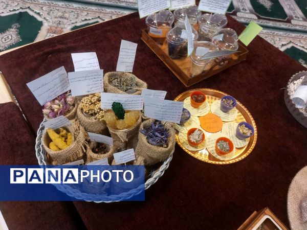برگزاری نمایشگاه گیاهان دارویی در دبیرستان شاهد شهدای اقتدار ملارد 
