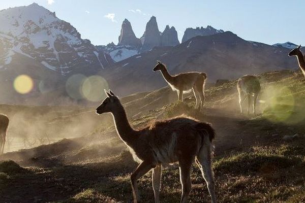 تماشای مستند بهشت برین، سیاره رام نشده