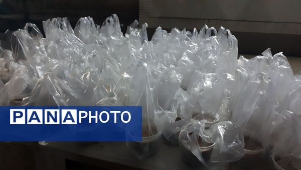  آیین گرامیداشت یادواره شهدای دانش آموز به مناسبت هفته دفاع مقدس در مشهد