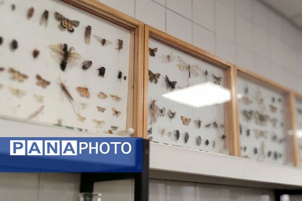 بازدید دانش‌آموزان فرزانگان۱ از مجتمع تحقیقاتی عصر انقلاب