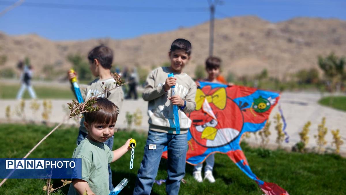 پرواز بادبادکها