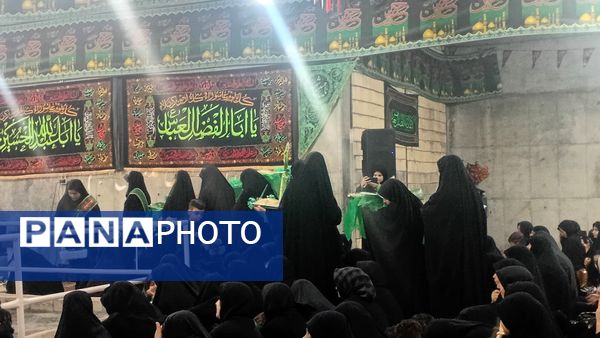 حجله نمادین حضرت قاسم(ع) در سامان