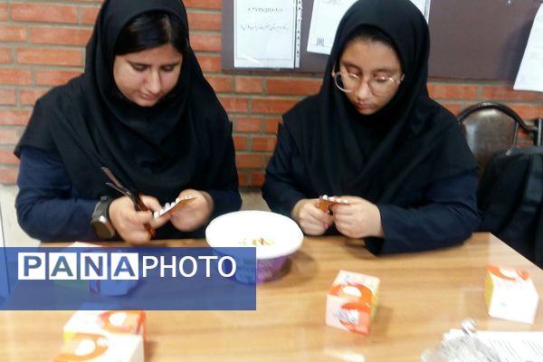 آغاز طرح مکمل یاری با آهن و ویتامین دی در مدارس کهریزک