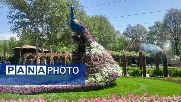 جلوه‌گری رنگ‌ها در دل بهار در یازدهمین جشنواره لاله‌ها در پارک چمران کرج