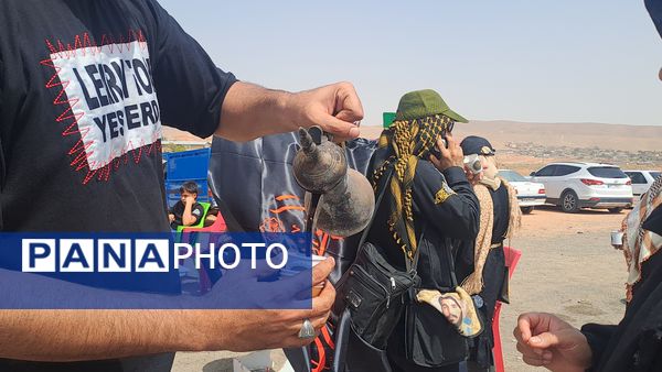 گام هایی از جنس عشق به امام رضا (ع)