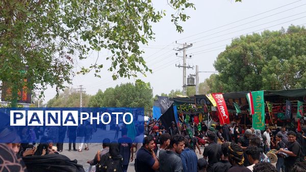 برگزاری آئین «شیر و کتل» در میناب 