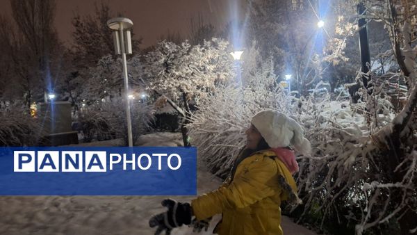 پارک‌های شهر مشهد در آغوش برف