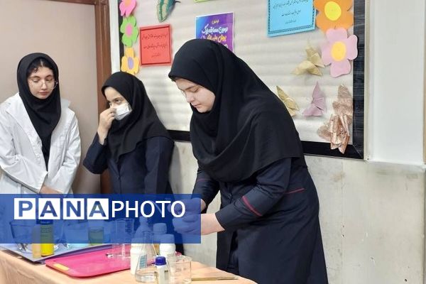 بازدید مسئول پژوهش سرای دکتر حسابی از دستاوردهای دانش‌آموزان  مدرسه شاهد شهید نوری