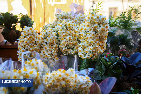 خرید شب یلدا در تهران