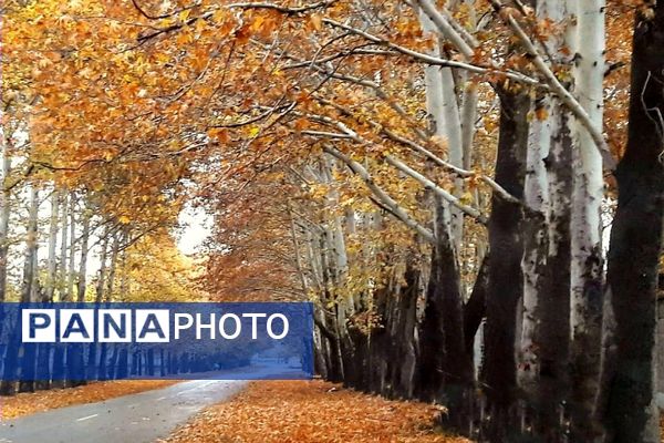 هرچه می‌گذرد، بیشتر به شبی سردتر و طولانی‌تر نزدیک می‌شویم