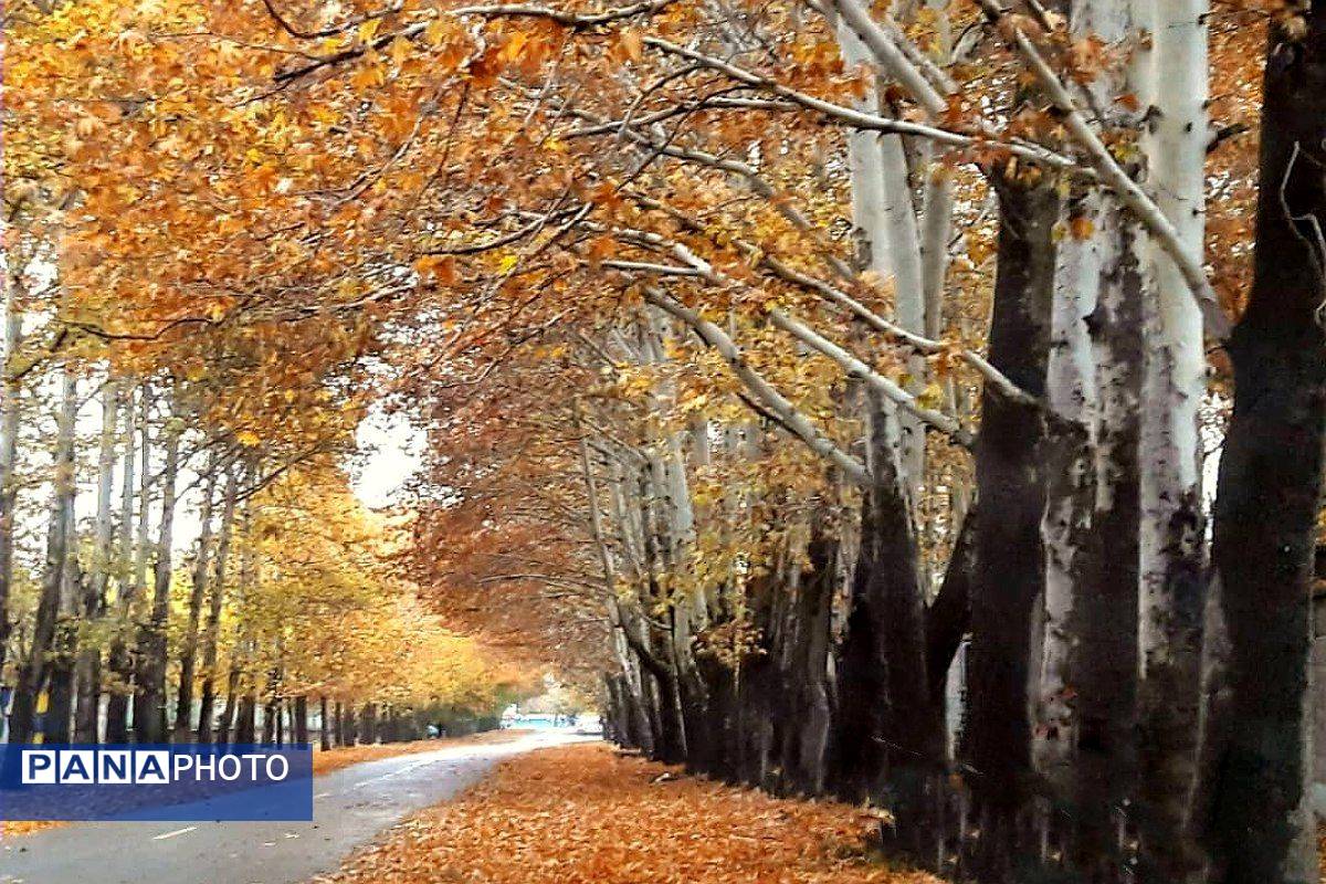 هرچه می‌گذرد، بیشتر به شبی سردتر و طولانی‌تر نزدیک می‌شویم